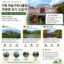 하늘가득너를담고 | 나는 솔로 카페 가평 하늘가득너를담고 옥순 상철 촬영지 소품카페 총정리