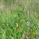 예덕피부관리 이미지