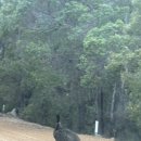 호생농장 이미지