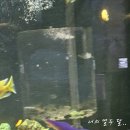 보타닉파크 돌스냅 견적 구성(달리아스냅,투에이치그라피,예나리스냅,더브렛스튜디오,디올리아,루엔스냅)