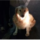 덕암로148번길,덕암로 이미지