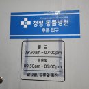 청평동물병원 네이버블로그