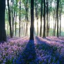 바람개비 이미지