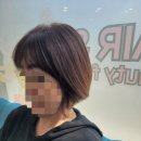 실로아헤어