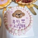 멍멍캐슬 이미지