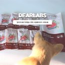 디어퍼피 | 강아지사료 후기 디어랩스 촉촉하고 부드러운 연어사료