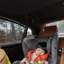 달디단과일