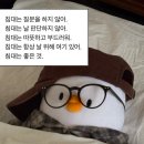 (주)스토리인 이미지