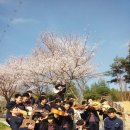 서천고등학교 이미지