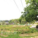 지내마을길 이미지