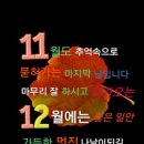 좋은터좋은곳 네이버블로그