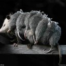 엄마라는 이름으로 이미지