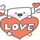 비바헤어 네이버블로그