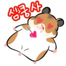 견궁 이미지