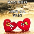 필수 가정 상비약…병은 자랑해야합니다. 이미지