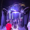 하림투어 이미지