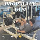 프로 팰리스 짐 이미지