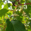 방우농장 이미지