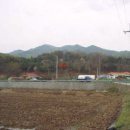 양사면-4 이미지