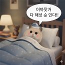 호스텔 오렌지트리 | 셀프리캡! 신년맞이 25년 회고, 그리고 26년 목표 3가지