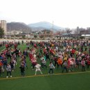 함양초교 이미지