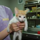 노룬산동물병원 이미지