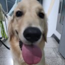 광명위너복싱 이미지