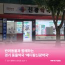 메디팜신광약국 이미지