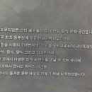 크레이지솔트 이미지