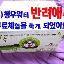 (주)반려애수 이미지