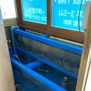 신월동_동호철판낙지