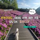 불암산생태학습관 산책로 첫번째 쉼터 | 불암산 힐링공원 완벽 가이드: 가족, 애견, 데이트 모두 OK! [2편]