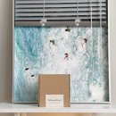 산토 | 천연방향제로 집냄새제거하기 세임스트랜져 팔로산토 후기