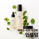인셀덤 광주점 - 서구 | 인셀덤 광주점
