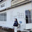 NB001 | 디스커버리 패딩 여성 반슬리 구스다운 크롭 숏패딩 뉴발 비교