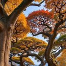 가을여행 이미지