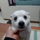 양천구청 이미지