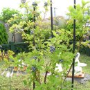 예크유치원 이미지