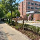 효자초등학교 이미지