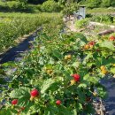 복흥농장 이미지