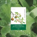 오늘부터 작가 | 채식 입문자 추천 책 『오늘부터 채식주의』 도서 후기