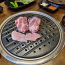 꼼짱먹짱