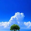 [지방교회] 주님의 재림을 앞당겨? 이미지