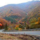 가을여행 이미지