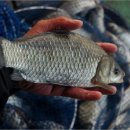 안골 낚시터 이미지