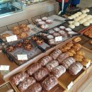 맘모스안경 이미지