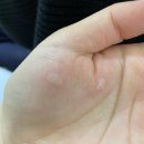 프라임조은약국 | [4월 2주 내 주말] 오랜 고민 끝 | 김주영 결혼식
