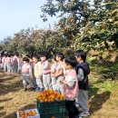 성암초교 병설유치원 이미지