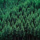 울산행복학교 이미지