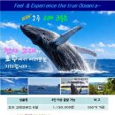투어티티엘 - 부산진구 서면문화로 27 | 투어티티엘